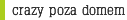 crazy poza domem